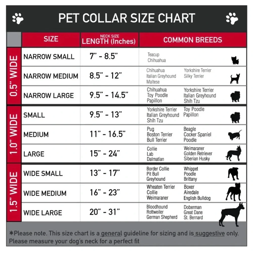 2/$20 NEW DISNEY Frozen II Dog Pet Collar Adjustable LARGE 15” - 26” Neck Size